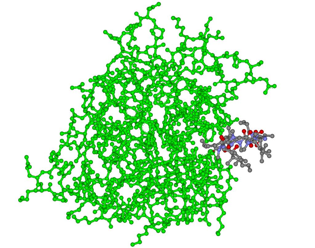 Působení komplexu droga/receptor Receptor: Cyklofilin A