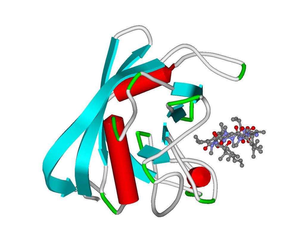Mechanismus účinku: konformační změna vyvolá biochemickou