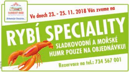 PROSTORU