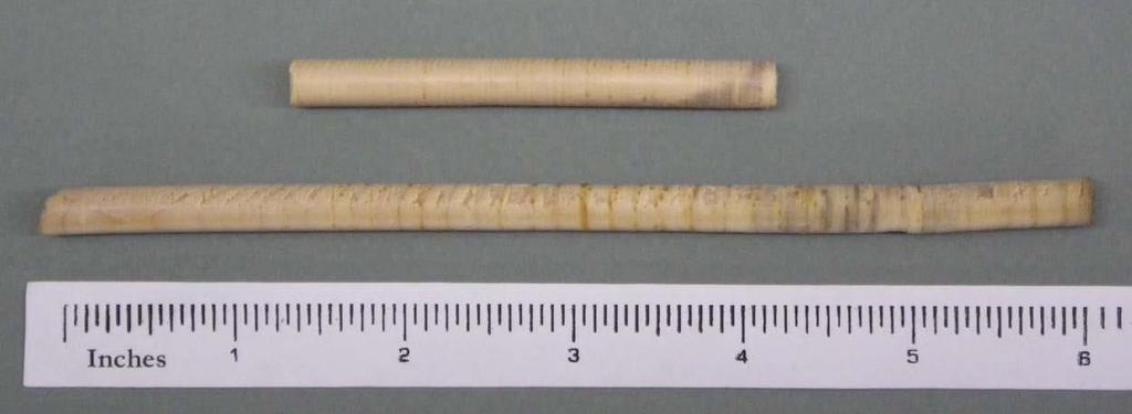 Obr. 7: Vzorky vývrtů pomocí Presslerova nebozezu (www.fortticonderoga.org) 3.2.2 Ukončení vzorků Již při odběru vzorků je nutné zapsání speciální značky pro každý vzorek zvlášť.