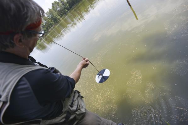 Vztah mezi počtem rodinek a vybranými charakteristikami prostředí Signifikantní