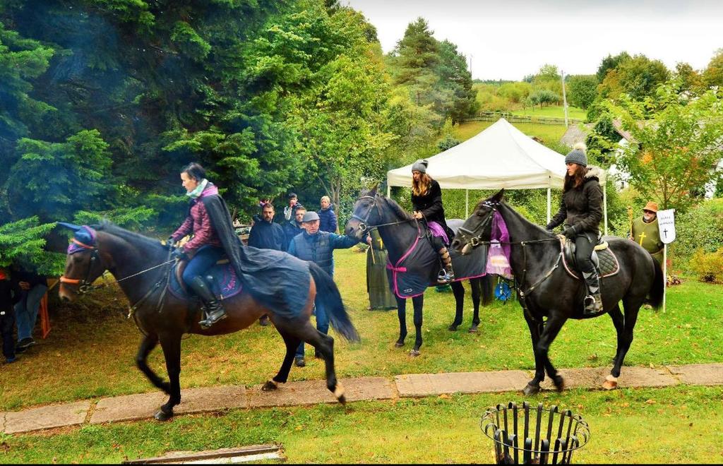 listopadu 1332 v provincii Mondena, poblíž hradu San Felice (střední Itálie). Jeho původní spojenec Ludvík Savojský ho zradil a s Karlem to nevypadalo dobře. Bylo to právě 25.