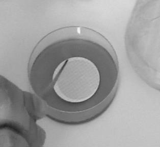 Doplňkové metody Metoda membránových filtrů je založena na filtraci určitého objemu vzorku vody membránovým filtrem s velikostí pórů, která je dostatečná pro zachycení baktérií.