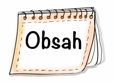 Obsah: 1. Úvodní slovo ředitelky 2. Základní informace, zpráva o lidských zdrojích 3. Poslání a cíle a poskytované služby organizace 4.