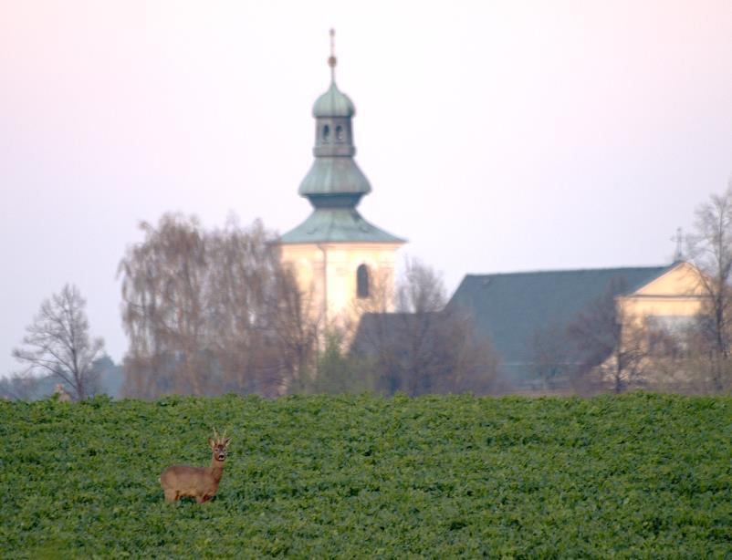 Zejména poslední dny měsíce teplota padala v noci pod mínus deset stupňů. Dočkali jsme se také sněhu. Hlavní příděl přišel v jeden den, a to ve středu 7.