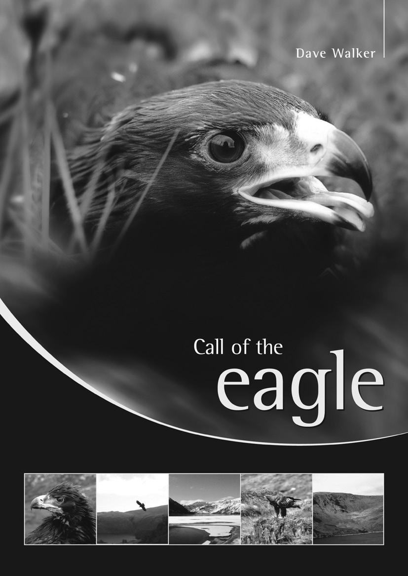 Z Literatury nější ti najdou lepší zdroj informací např. v dílech Bird census techniques nebo Metody kvantitativního výzkumu v ornitologii.