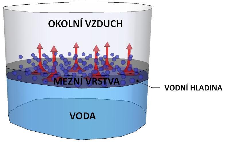 - konvekcí lamínární volnou turbulentní nucenou Velmi častými případy v technice prostředí jsou vypařování