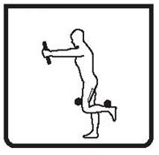 DOWN) BICEPSOVÉ ZDVIHY (ARM CURL)