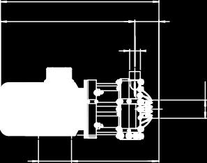 100 6,7 7 DM06 EC 71 0,37 kw 404 346 58 3/4" M * 1" F * 217 90 27 46 71 91 112 7,5 7,8 DM06 NEMA 56C 0,5 hp 436 377
