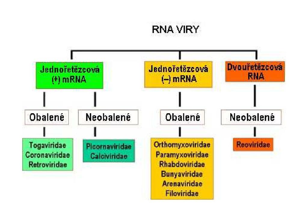 Vědecká