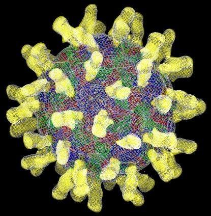 Snímky virů