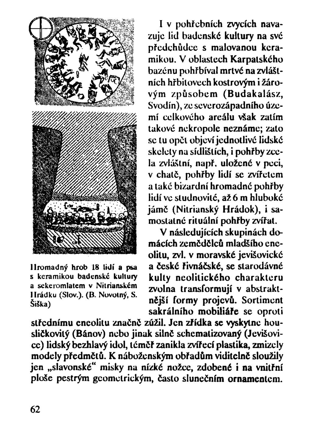 Hromadný hrob 18 lidí a psa s keramikou badenské kultury a sckeromlatcm v Nitrian&kčm I Irádku (Slov.). (B. Novolný, S.