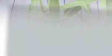 UV Stabilizer -