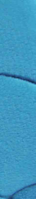 PES Koupelnové předložky materiál rozměry v cm RASTA MICRO NEW 100% PES 50 x 80 60