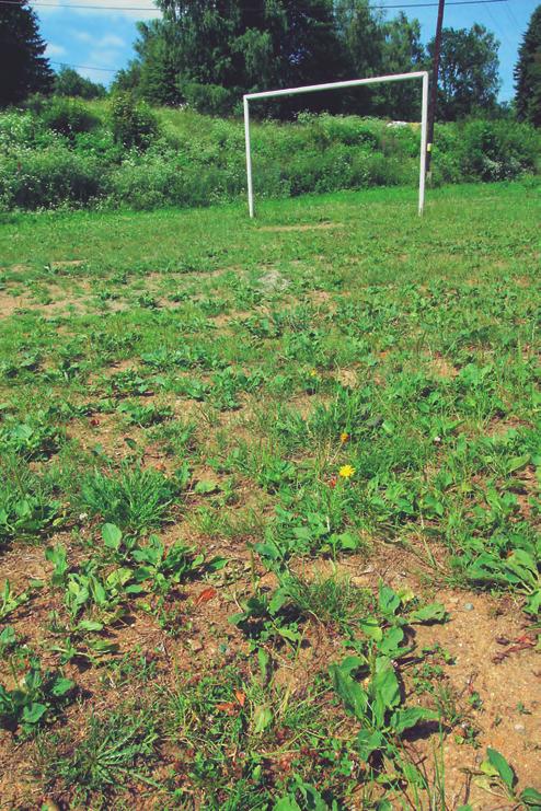 Cynosurion cristati ceméně odpovídá subasociaci Anthoxantho-Agrostietum typicum Jurko 1969.