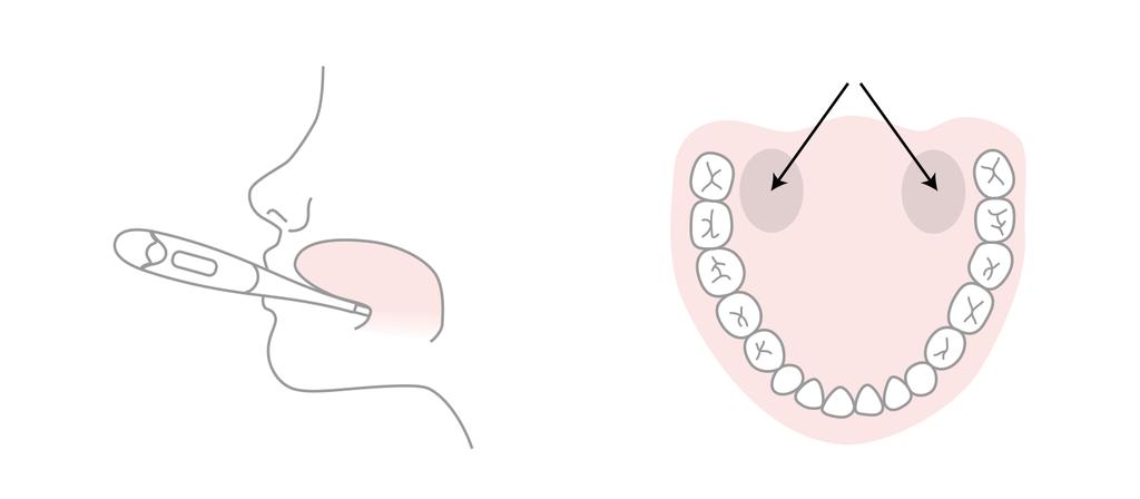 Měření teploty Jak měřit? Během měření bazální teploty postupujte podle návodu k použití teploměru.