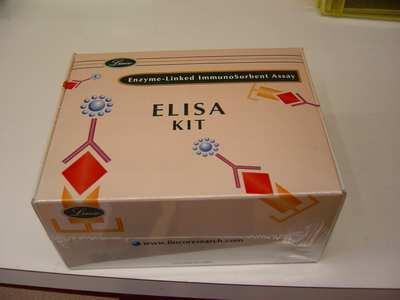 e) Spočítáme cpm pomocí gamma counteru a vypočítáme výsledné koncentrace ghrelinu. 4.3.2 STANOVENÍ ACYL A DESACYL GHRELINU - ELISA 1.