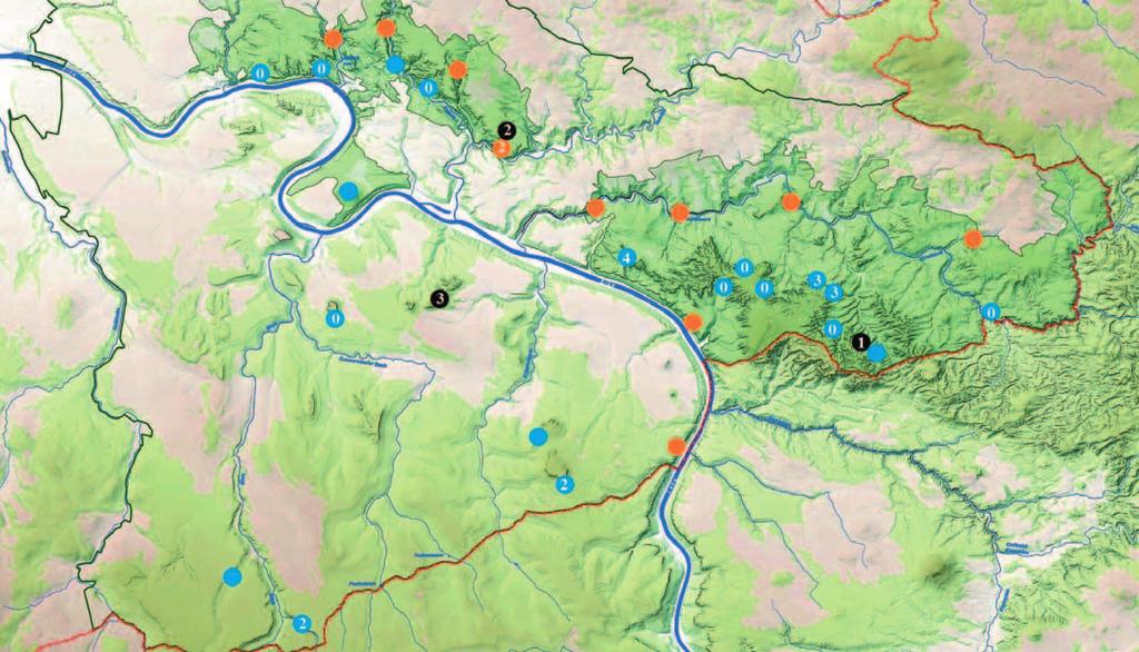 Z hnízd v saské části Labských pískovců vylétlo jen 14 mladých sokolů. Naproti tomu v české části území vyvedlo 13 párů 21 mláďat.