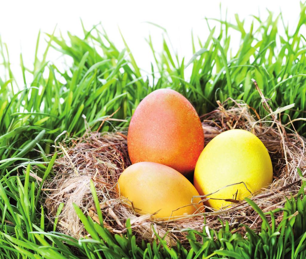 Spokojené vajíčko od královny všech ptáků Kdo má rád vajíčka jako já, ten se těší na jaro a Velikonoce, kdy slepice začnou snášet jako o život.