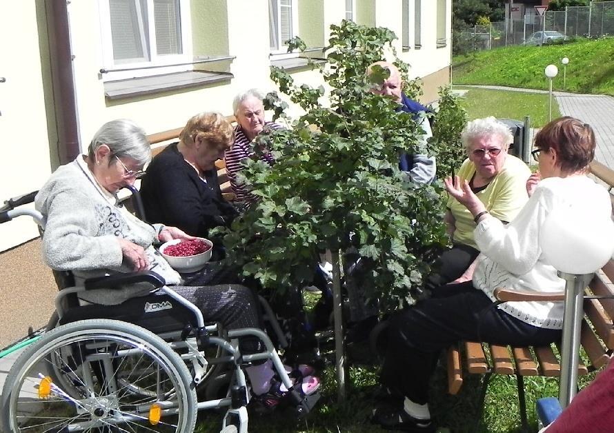 Není nic lepšího, než si po létě pochutnávat na výtečných buchtách, či koláčích.