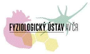 the frontal rat brain cortex Mgr. Dmytro Kagan PhD Thesis 2014 Supervisor: Doc. RNDr.