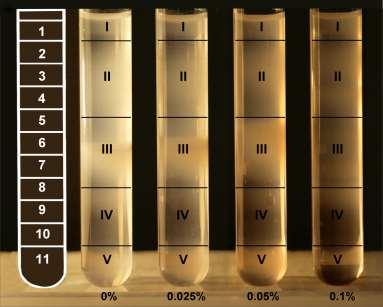 purified plasma membranes at low detergent concentrations; the five main area