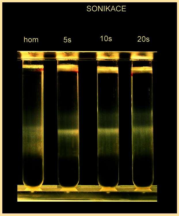 50 As demonstrated in Fig.
