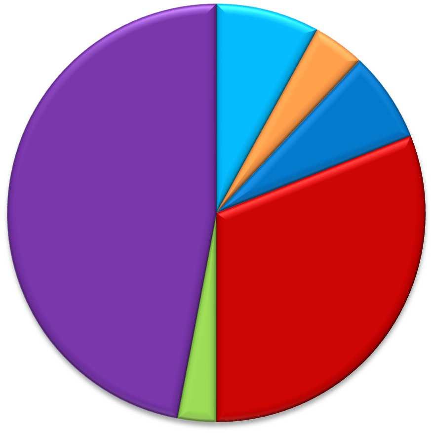 II. STRUKTURA ÚČASTNÍKŮ KONGRESU SP +ZPS + PSS 47% PROFESNÍ