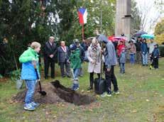 Na školní zahradě se paní učitelky s dětmi pustily do práce. Nejprve jsme se společně vyfotily, potom s velkým nadšením děti prolévaly jámu, aby se nám stromeček pěkně uchytil.