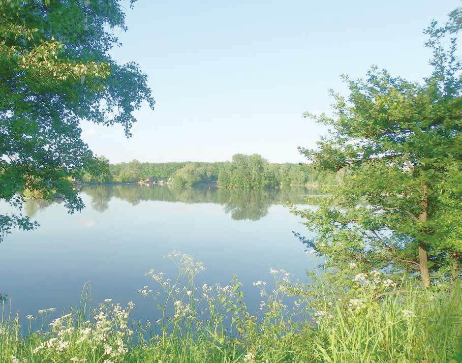 idobryden.cz 16 Kč (předplatné 14 Kč) FOTO: DOMINIK BACHŮREK Zmizí Uhliska z mapy?