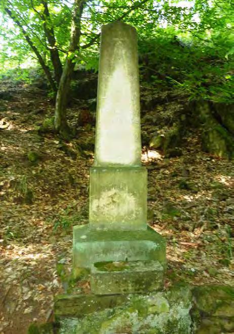 zahrádky.