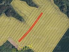přihlášené v LPIS o výměře 9 898 m 2 a les o výměře 370 m 2.