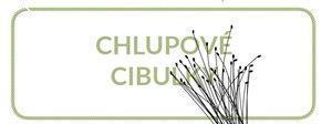 laboratorního zpracování, kterým je odebrání aliquotu chlupových cibulek na začátku izolačního procesu. Chlupové cibulky se od chlupů oddělují manuálně ustřižením.