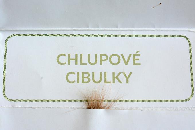Nekvalitně  
