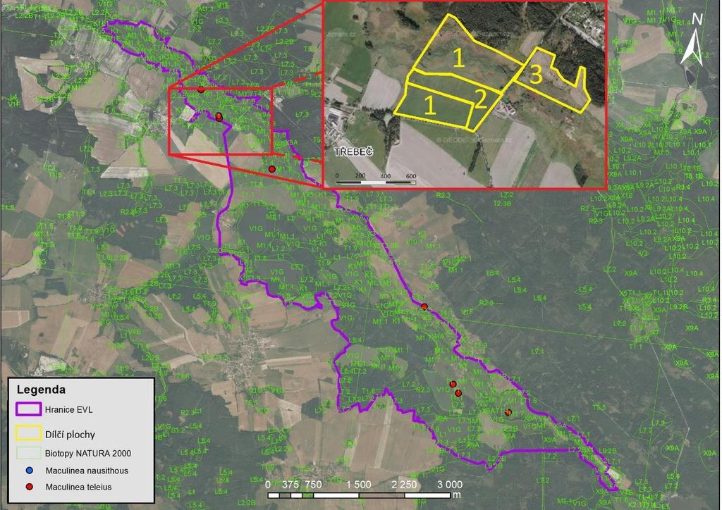 Mapa 5 EVL Stropnice. Znázorněna je hranice EVL, hranice dílčích ploch, naturové biotopy T1.4, T1.5, T1.6, T1.9 a nálezy modrásků bahenního a očkovaného. 5.1.5 EVL Terčino údolí Předmětem ochrany této EVL je modrásek očkovaný (M.