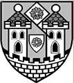 MĚSTO TŘEBOŇ USNESENÍ Č. 11/2003 Z JEDNÁNÍ RADY MĚSTA KONANÉHO DNE 16. 4. 2003 Usnesení číslo : 146/2003 Rada města doporučuje zastupitelstvu města schválit zveřejnění záměru prodeje části pozemku p.
