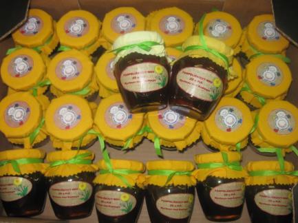 louhovali s citrusy,