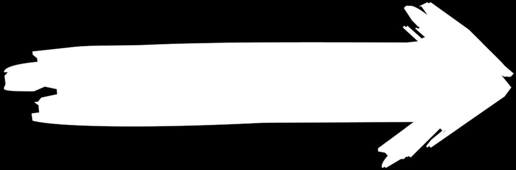 Dušená šunka