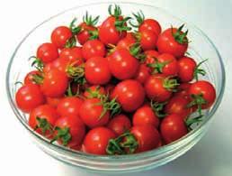Květák 1 ks Rajčata cherry