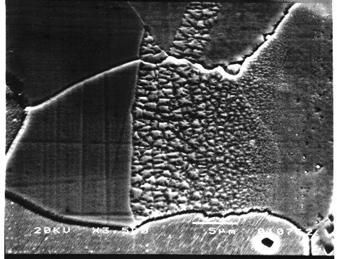a) 24 2 17 14 11 Konentrae Al [at.%] 5 11 18 25 Vzdálenost x [µm] b) ξ 25 [at.%] Al 2 15 1 5 [µm] Obr.2. Svarový spoj Ni/Ni 3 Al : a) snímek SE mikrostruktury, která je zleva doprava tvořena oblastí