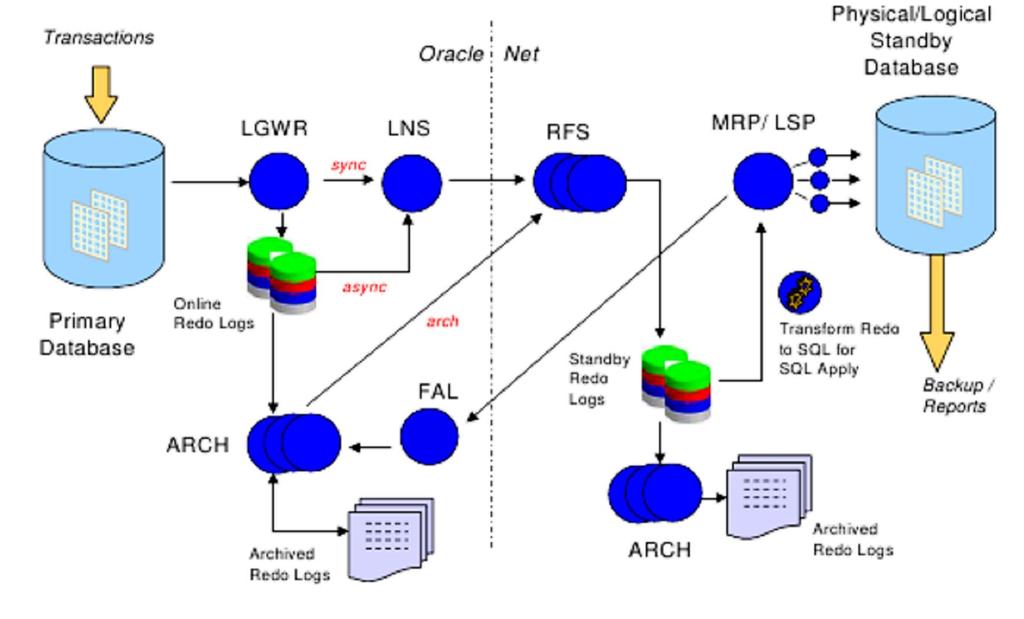 Obrázek 4: architektura Oracle Data Guard - zdroj: [9] 3.5 Změna rolí Jak bylo již řešeno ODG konfigurace je tvořena typy databází.