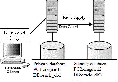 Obrázek 7: schéma virtuálních strojů a Data Guard - zdroj: [42], vlastní zpracování 5.