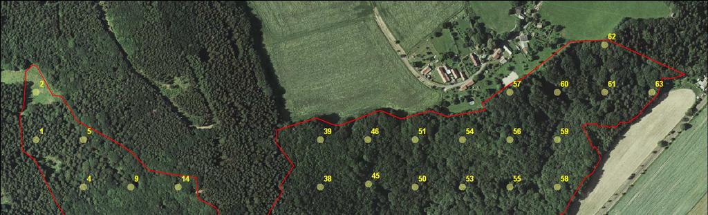 poloměr kruhu (m) plocha kruhu (m 2 ) prahové výčetní tloušťky (cm) 2 12,5 < 7* 3 18,8 > 7 7 153,8 > 12 12,6 499,9 > 20 *Obnovní kruh slouží