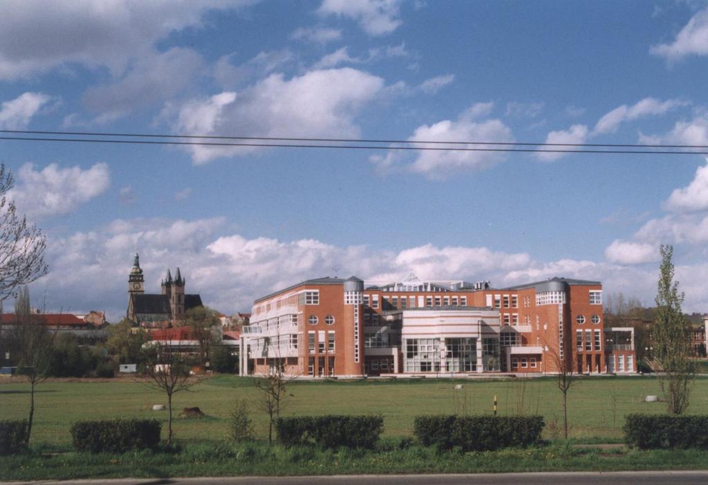 Univerzita