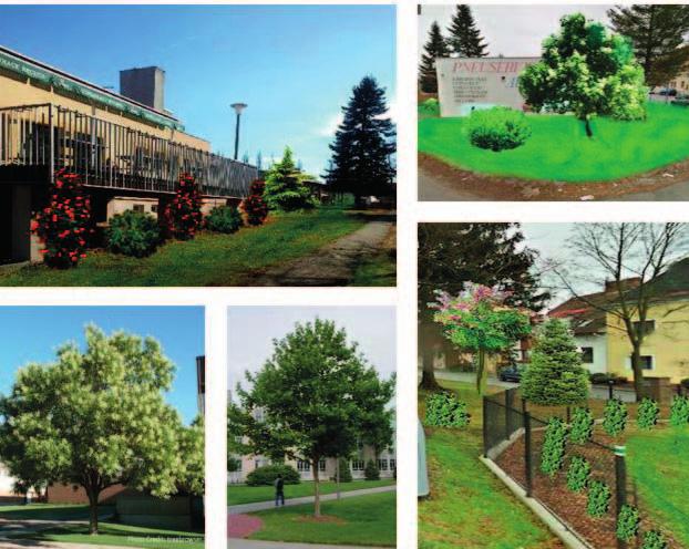 Obecní zpravodaj Kamenný Újezd Duben 2019 strana 2 Sázíme stromy a keře v parku aneb... Tvoříme arboretum V sobotu 27. 4. 2019 od 9 hodin proběhne výsadba stromů a keřů v parku na náměstí.