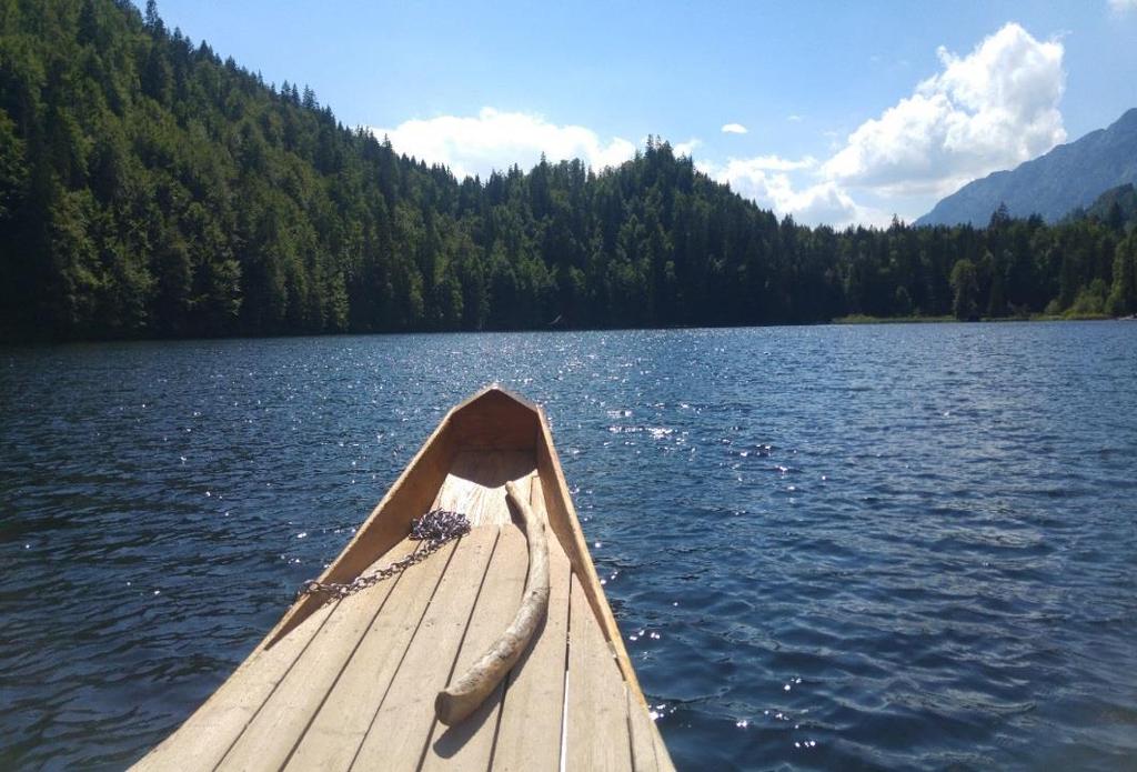 2.Grundlsee V úterý jsme jeli na jezero Grundlsee. Když jsme přijeli, tak jsme nasedli na loď, ze které jsem málem spadl. Moje sestra se mi jako vždy smála.