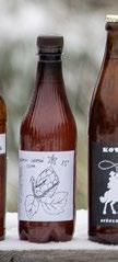 Chalcedon 12 Světlý ležák 5. Sarka Farka 12 NZ IPA 6.