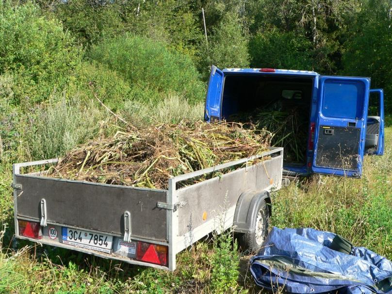 Likvidace a odvoz netýkavky žláznaté biomonitoring 9.2. Plány péče (mimo PPK): Plán péče o PR Chřepice 9.3.