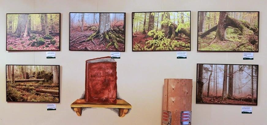 3.3.2. Výstavy Štěpán Rosenkranz Správa disponuje mobilními výstavními expozicemi a dalšími velkoformátovými fotografiemi, které zapůjčuje obvykle městům, obcím či organizacím.