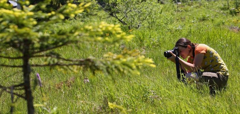 Vertikutace na horečkových lokalitách a seč s pastvou na dalších lokalitách byly realizovány z projektu Péče o nelesní typy přírodních stanovišť na území NP Šumava.